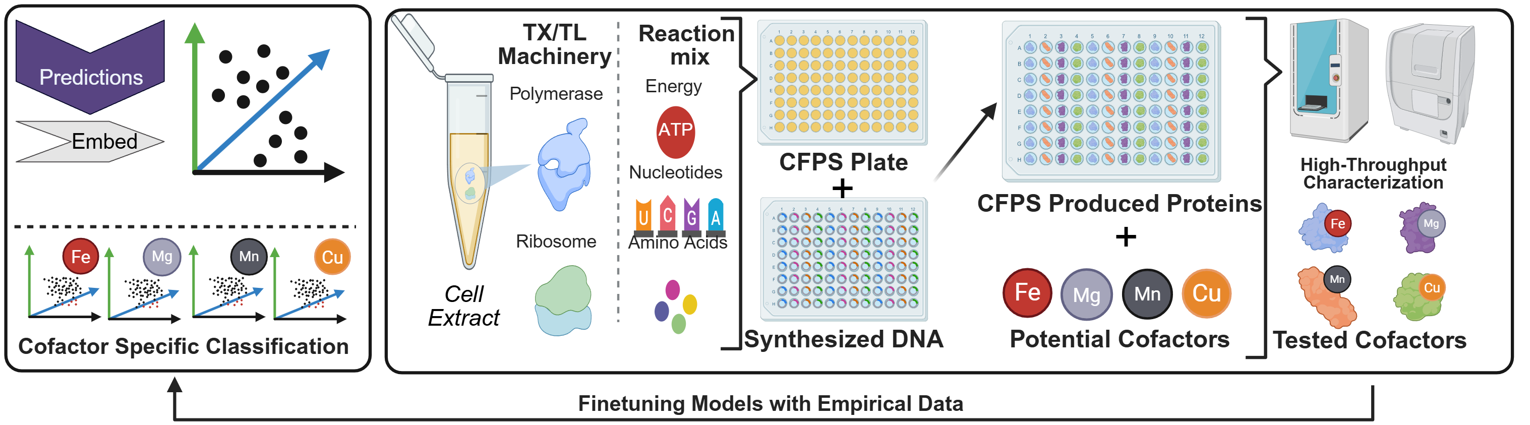 Workflow for predicting cofactor-enzyme pairings with protein language models